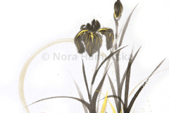 original painting by Nora Hamucska
Nov 2024